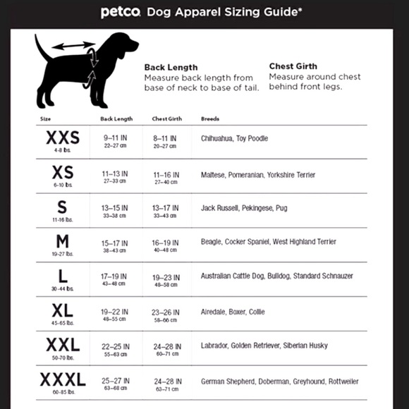 BACON 🥓 FOR MORE dog 🐶 pet costume ALWAYS Beggin’ NWT XS MED L XL XXL XXXL - Picture 5 of 5